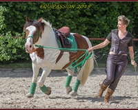 1-13JUIN 0682